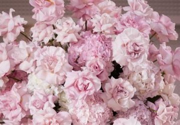 Imieniny Księdza Proboszcza. Zdjęcia!