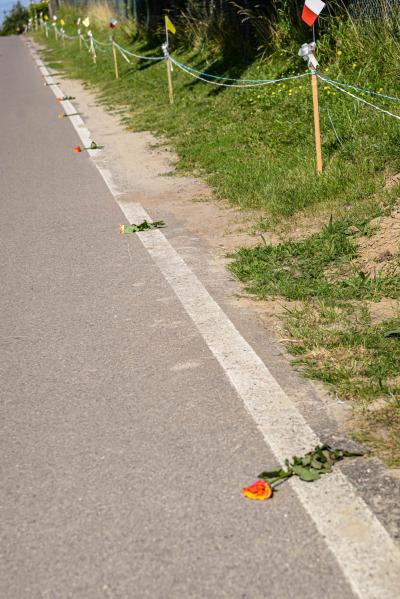 DSC_0978.jpg
