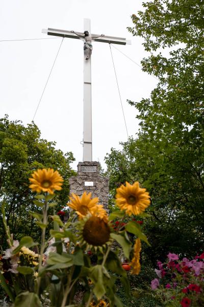 DSC_8500.jpg